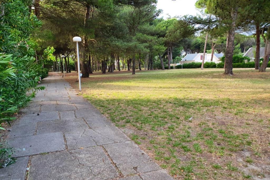 Studio Cabines 6 Couchages 150 M De La Plage Et A Quelques Secondes Des Commerces Wifi Gratuit ラ・グランド・モット エクステリア 写真