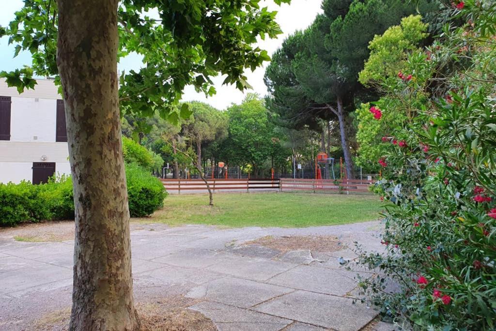 Studio Cabines 6 Couchages 150 M De La Plage Et A Quelques Secondes Des Commerces Wifi Gratuit ラ・グランド・モット エクステリア 写真